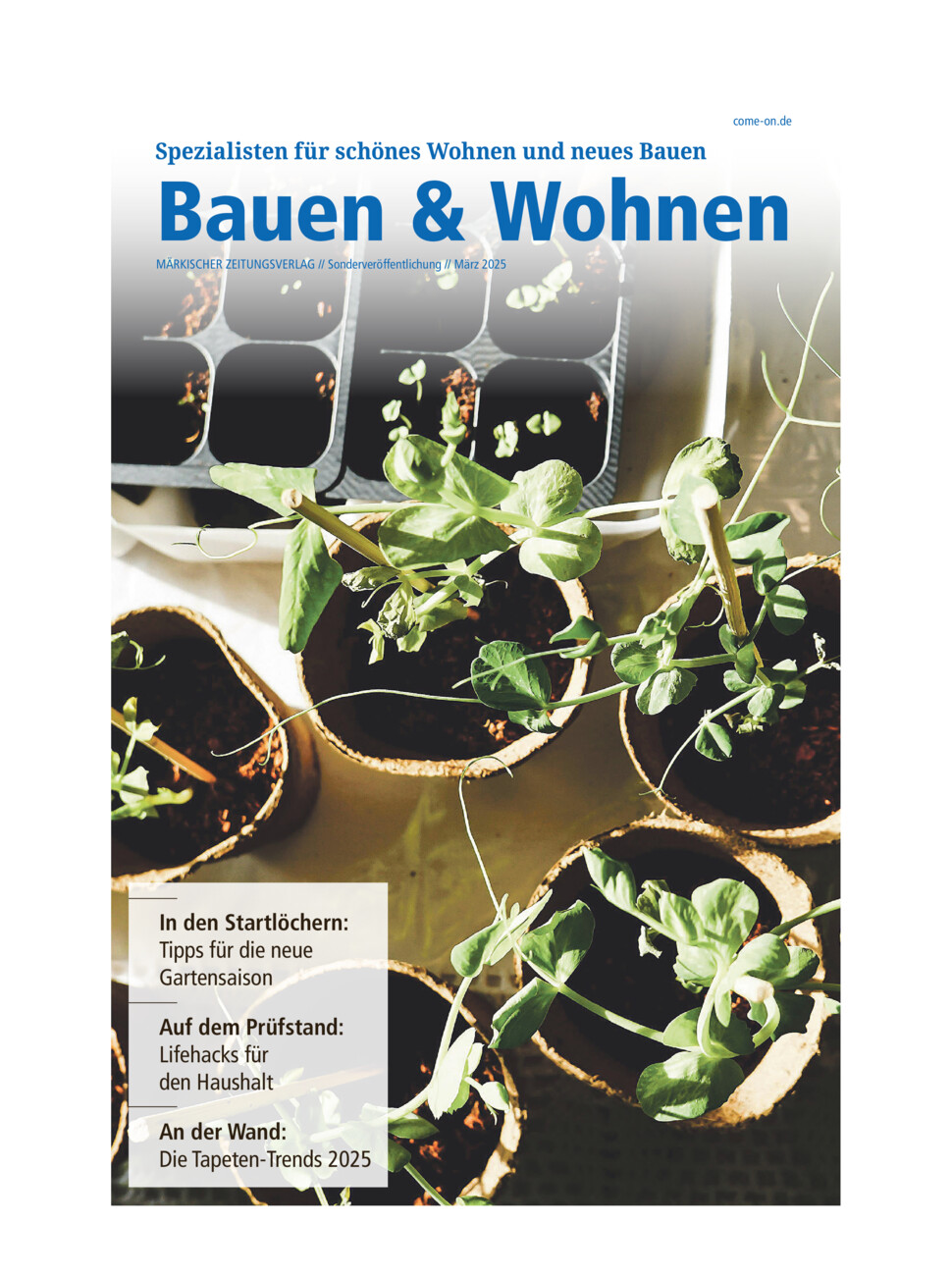 Bauen & Wohnen vom Samstag, 15.03.2025