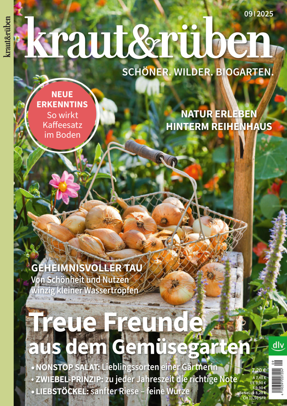 kraut&rüben vom Dienstag, 19.08.2025