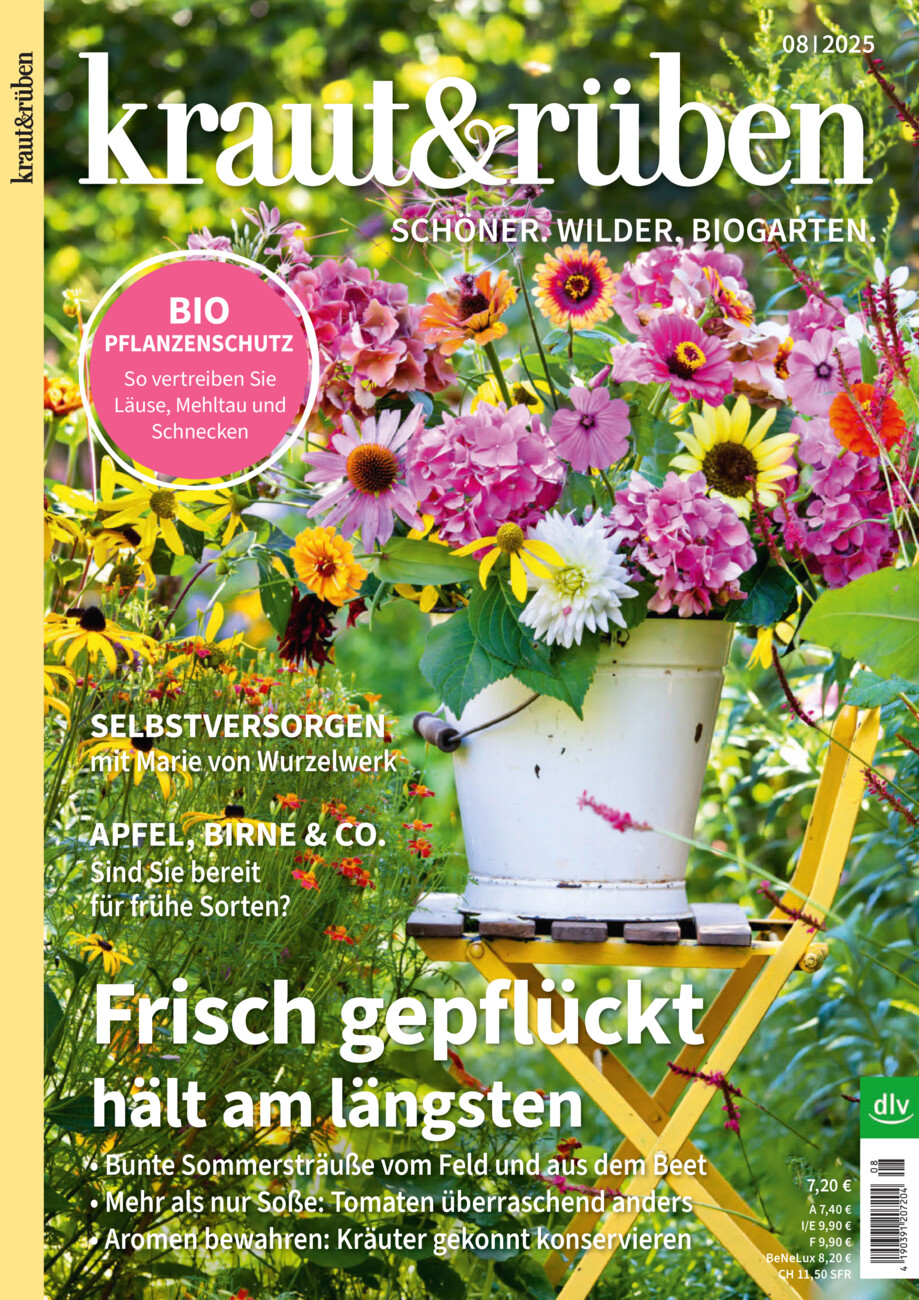 kraut&rüben vom Donnerstag, 17.07.2025