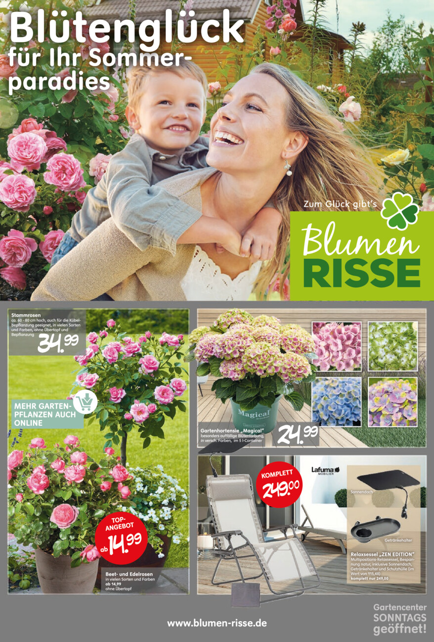 Blumen Risse vom Mittwoch, 28.05.2025