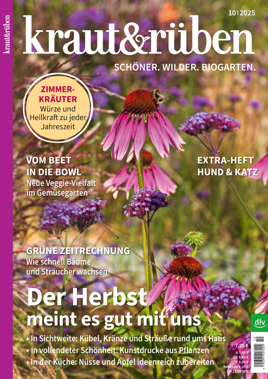 kraut & rüben  vom Donnerstag, 18.09.2025