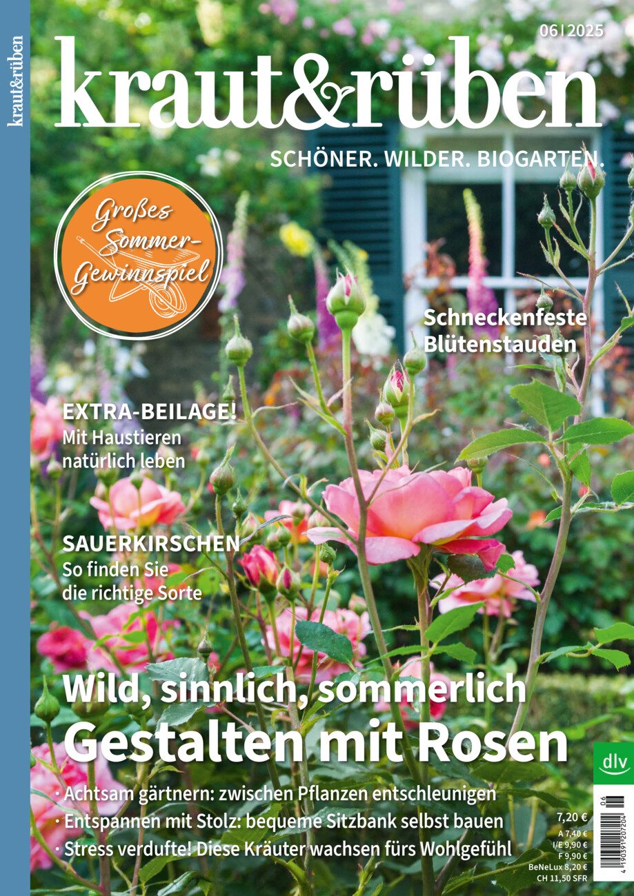 kraut&rüben vom Donnerstag, 15.05.2025